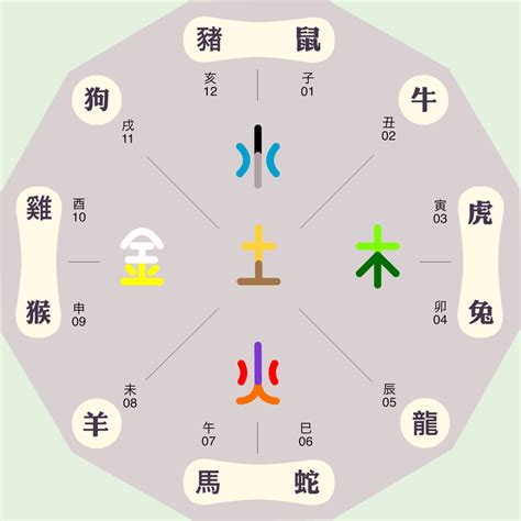 東字五行|东字的五行属性